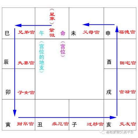 月柱寡宿|紫微斗数诸星落命宫之：孤辰、寡宿详解【命理八字实战】